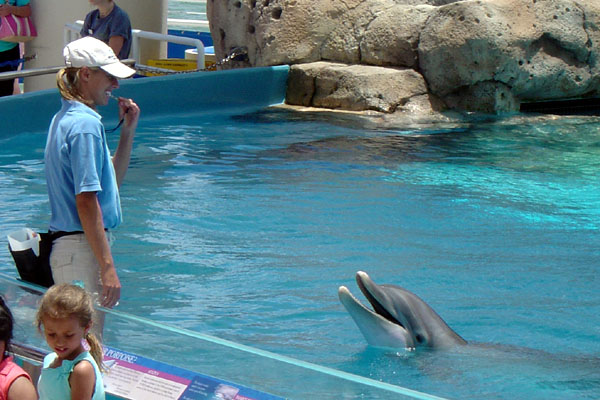 girl and dolphin