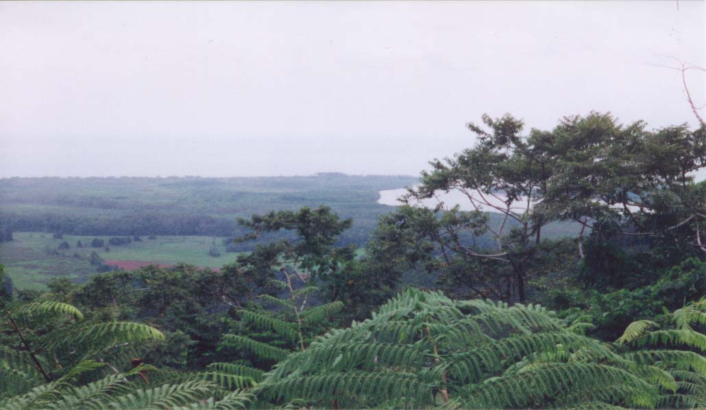 2001_aus_daintree_view