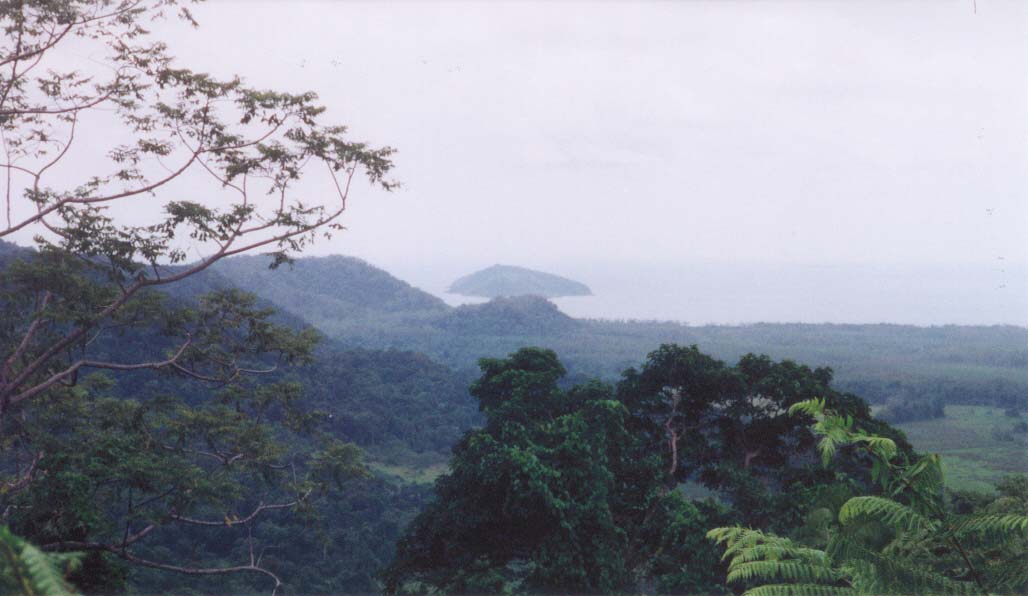 2001_aus_daintree_view2