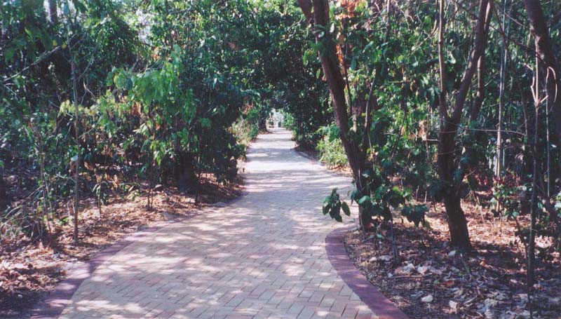 2001_aus_green_isl_path